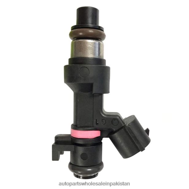 Car Accessories Pakistan 408F295 - 166006863R Fuel Injector RENAULT