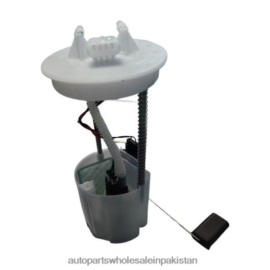 Auto Parts Manufacturers In Pakistan X6J8H4818 | Fuel Pump Module 2F659H307AB for Ford