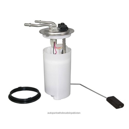 Auto Parts Wholesale Market X6J8H4906 | Fuel Pump Module E3560M FG0811 P74905M 88966963 for GM